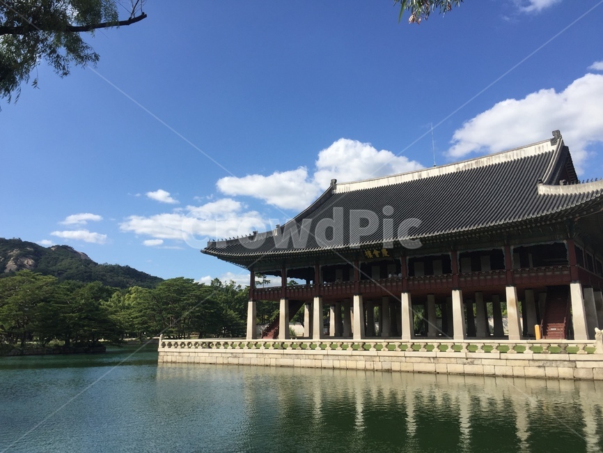 경복궁,경회루,건축물,전통,맑은하늘,빌딩