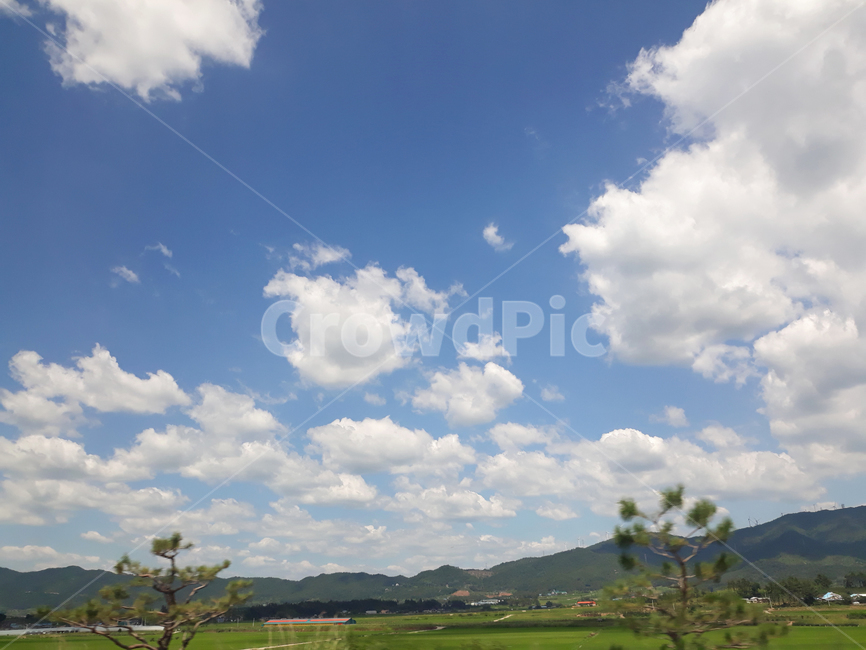 하늘,스카이,파랑,블루,파란색,자연,풍경,구름,흰구름,뭉게구름,낮,맑은,흰색,화이트,산,먼산,나무,모션,식물,시골풍경,농촌,한국,대한민국,자연,풍경,nature,landscape,outdoors,옥외,weather,날씨,grassland,목초지,field,들,cloud,cumulus,적운,sky