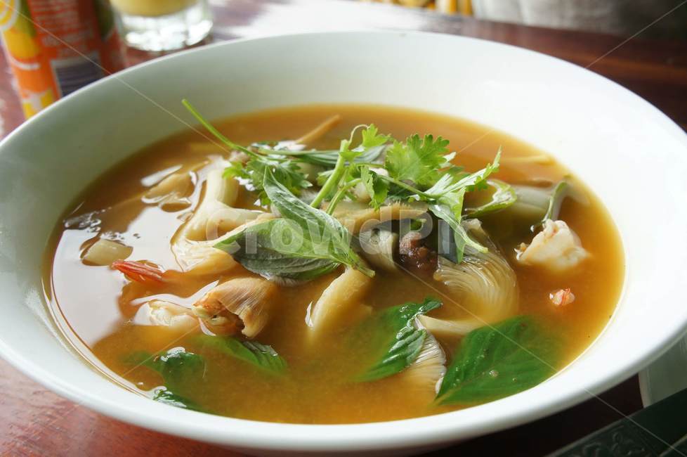 베트남,동남아시아,고수,국수,향신료,bowl,dish,요리,food,음식,meal,식사,soupbowl,수프그릇