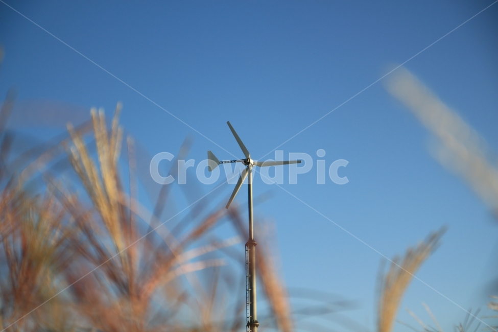 풍차,갈대,풀,풍경,감성,하늘,산업,industry,industrial,에너지산업,energy industry,machine,기계,engine,엔진,motor,모터