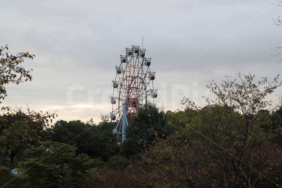 관람차,동심,추억,놀이공원,놀이기구,놀이공원,놀이동산,놀이터,amusement park,playground