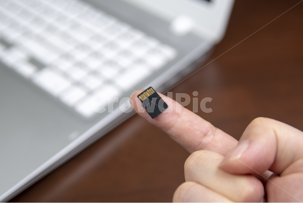 sd메모리카드,메모리,디스크,기록,기록장치,손,손가락,손동작,컴퓨터,기술,반도체,전자,디지털,저장,보존,매체,미디어,정보,보호,장치,sd카드,백업,데이터,보안,비밀,카피스페이스,카피,스페이스,여백,클로즈업,남자손,과학,산업,노트북,마이크로,micro,정보통신기술,전자기기,전자제품,it,information,technology,electronic equipment