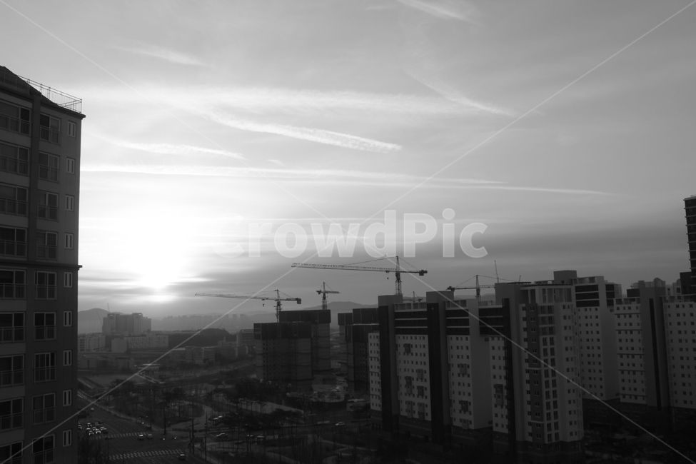 아침,도심의일출,이교관,세종시,새해아침,도시,풍경,city,landscape,한국도시풍경,한국도시경관,korea cityscape,흑백,모노톤,monochrome,black and white,nature,자연,outdoors,옥외