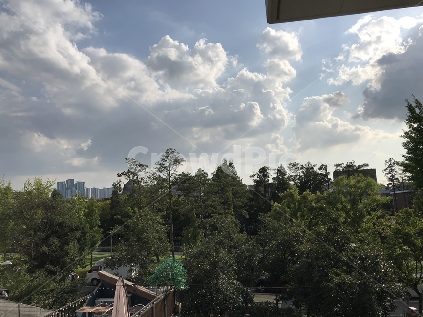 nature,자연,outdoors,옥외,weather,날씨,연남동