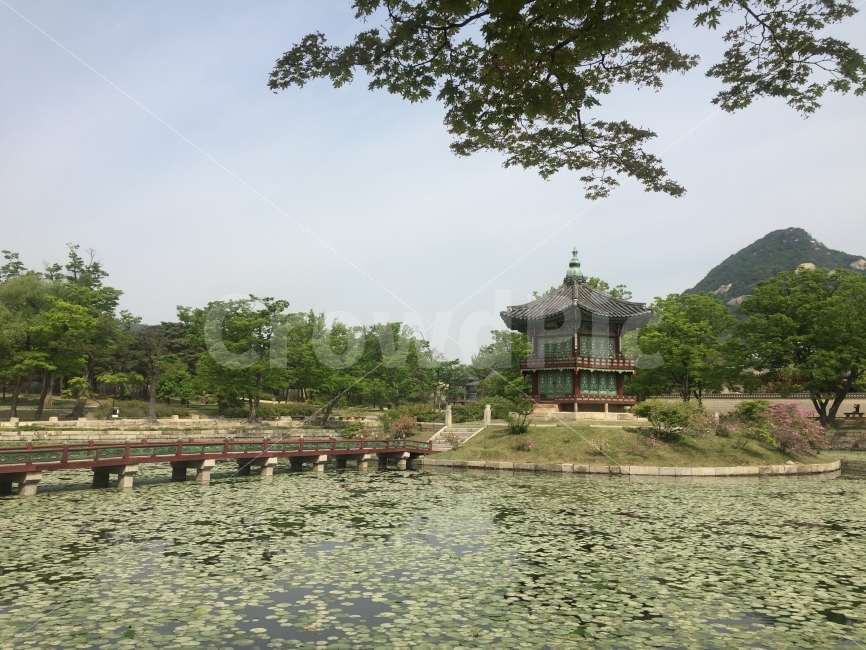 경복궁,향원정,취향교,연못,풍경,한국전통,한국문화,korean traditional,korean culture,랜드마크,landmark,tourist attraction,한국랜드마크,한국관광지,한국명소,korea landmark,korea tourist attraction
