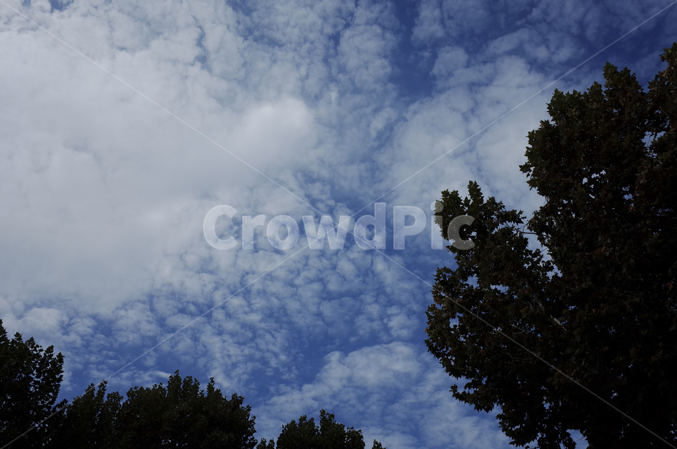 nature,자연,outdoors,weather,날씨,cumulus,적운,cloud,구름,sky,하늘,blue,파란,파랑,푸른,azuresky,bluesky,푸른하늘,파란하늘,silhouette,실루엣