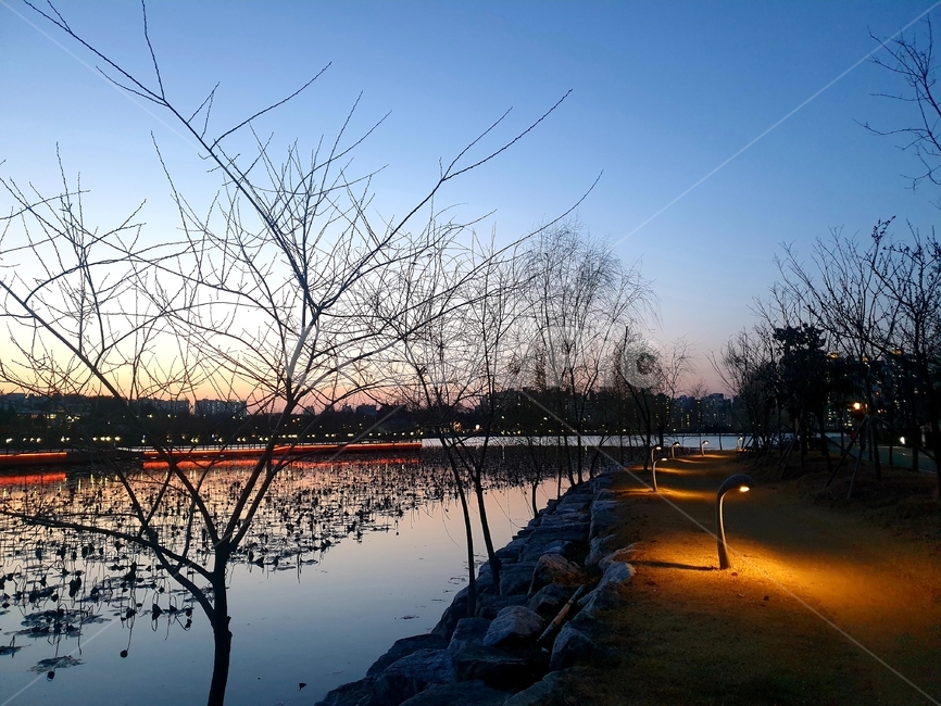 옥외,자연,nature,outdoor,야간,공원,저수지