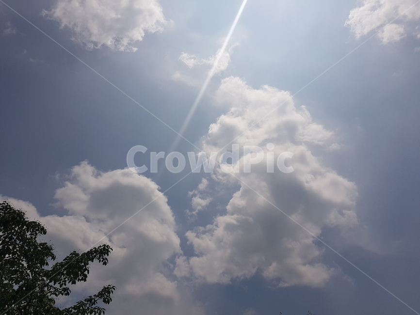 구름,하늘,푸른하늘,뭉게구름,하얀구름,흰구름,파란하늘,나무,햇살,cloud,sky,bluesky,tree,맑은하늘