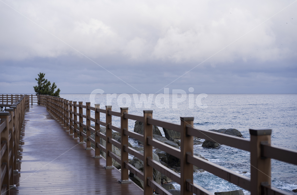 바다,동해,길,외길,바닷가,railing,난간,handrail,banister