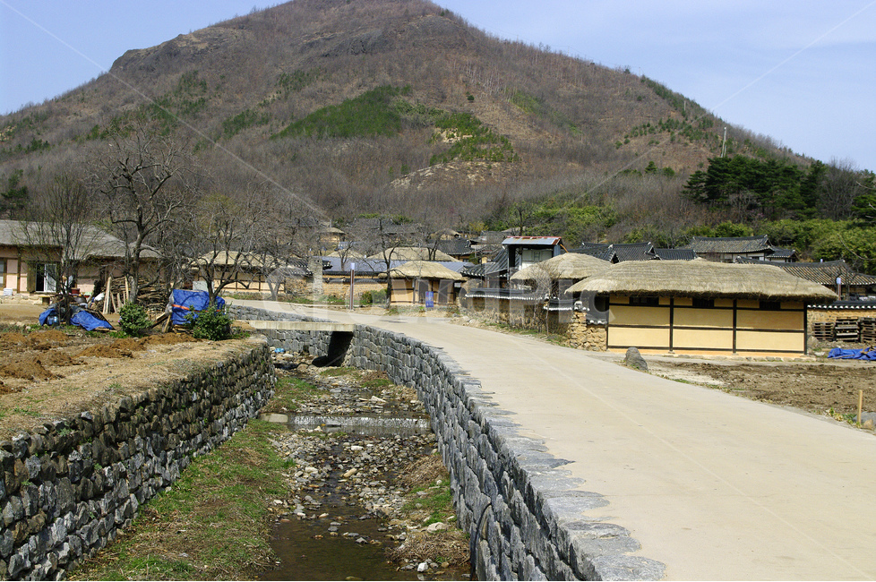 기와,지붕,기와지붕,한국,전통가옥,마을,전통마을,시골,마을,풍경,landscape,country,rural,town,한국전통,한국문화,korean traditional,korean culture