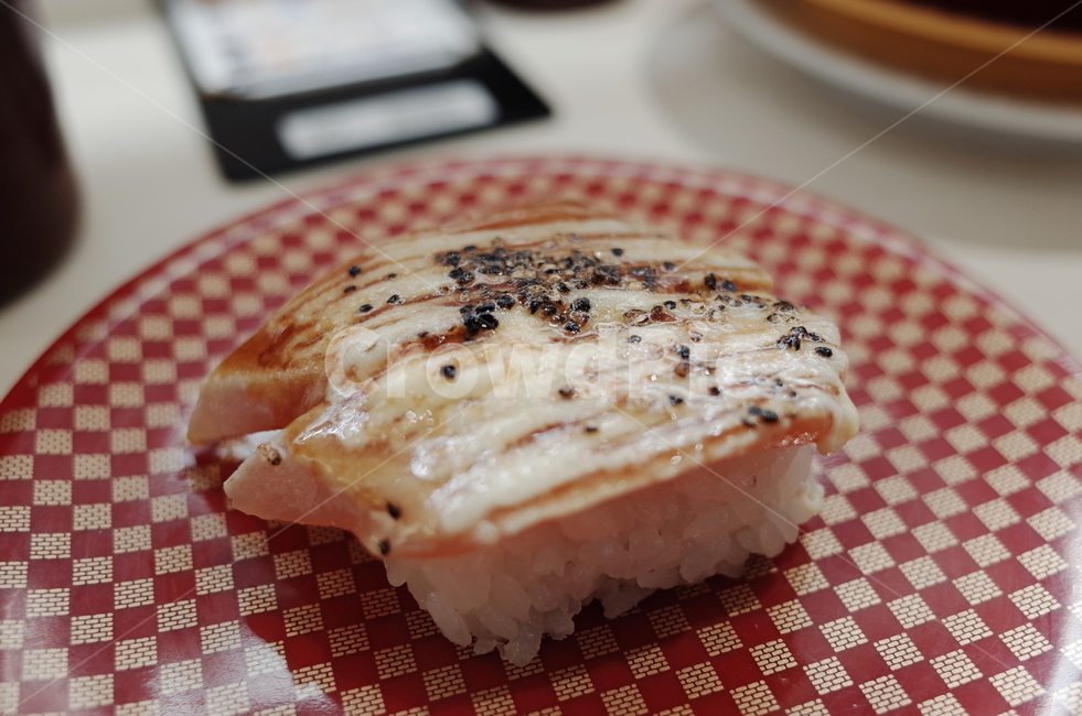 일본음식,일본,음식,연어,스시,살몬,음식,식재료,요리,food,cook,meal,dishes,food reserves,일식,일본음식,일본요리,Japanese food,Japanese dishes,Japanese meal,Japanese cook