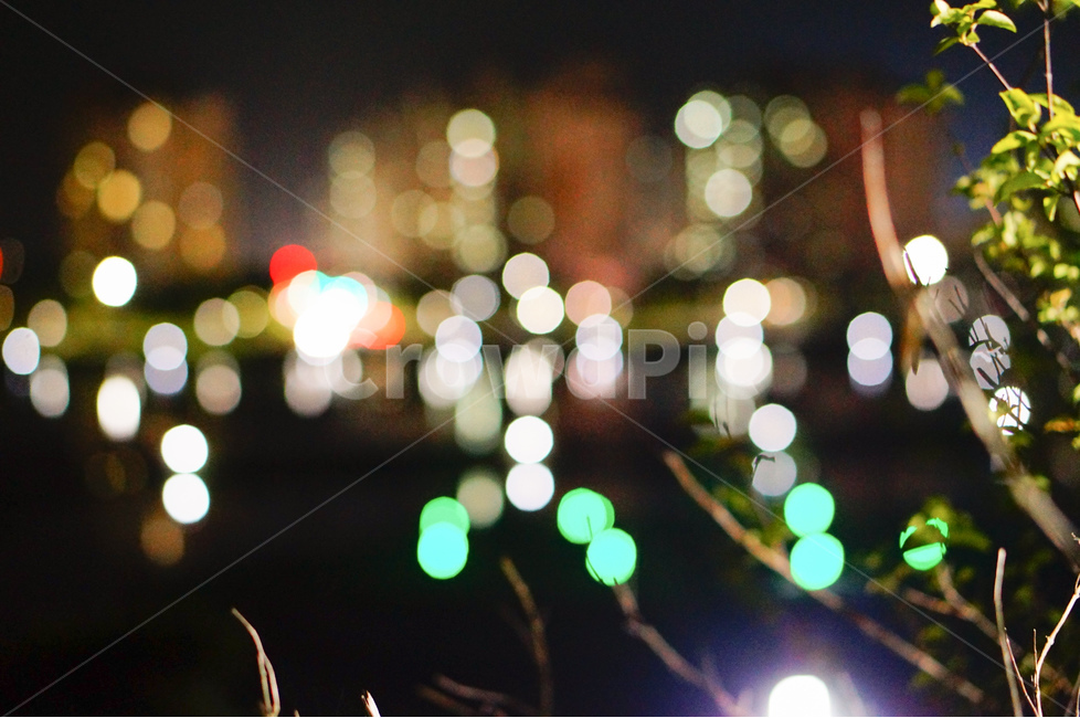 빛,야경,보케,불빛,풍경,밤,야경,밤,풍경,nightscape,night,landscape,감성,sensible,feeling,lighting,조명,flare,플레어,light