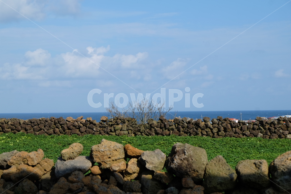 돌담,제주도,우도,하늘,밭,돌,stone,sky,jeju,현무암,자연,풍경,nature,landscape,한국자연풍경,한국자연경관,korea nature landscape,제주도,jeju,jeju island,rubble,파편