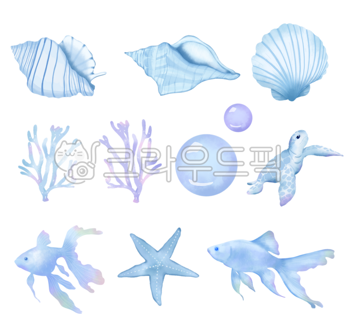 Sea creatures,marine life,seashells,scallops,corals,water drops,sea turtles,turtles,fish,starfish,sea watercolor,marine illustrations,sea creature drawings,sea creature images