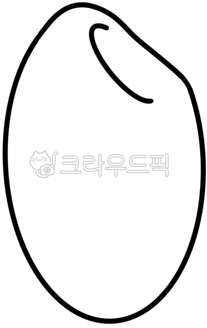 쌀,쌀알,흰쌀,백미,쌀한톨,rice