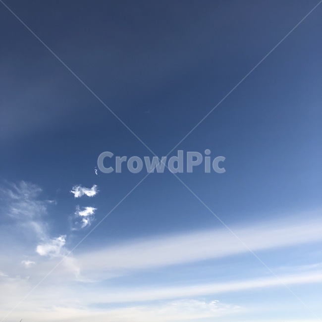 하늘,가을,구름,나무가지,감,나무,가을하늘,겨울하늘,풍경,sky,cloud,tree