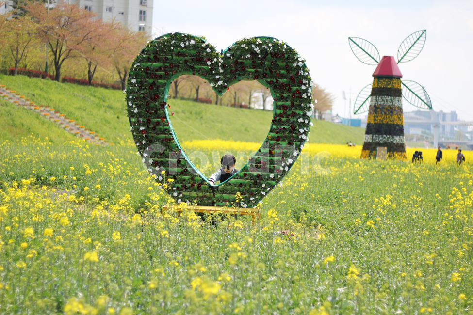 양산,유채꽃,아들,감성,봄,바람,풍경,봄,계절,spring,season,사람,인물,인간,human,person,어린이,어린아이,child,children,kid,field,들,outdoors,옥외,grassland,목초지,nature,자연