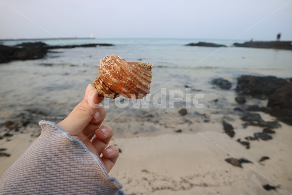 제주도,바다,힐링,소라,세화해변,해변,바다,beach,sea