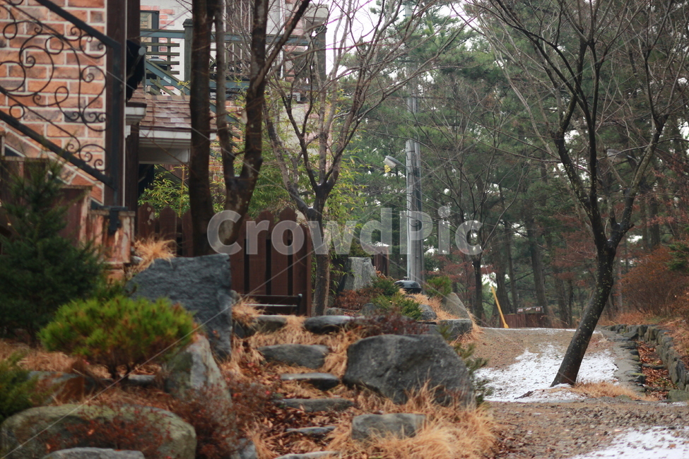 어느겨울,집앞,외로움,조용한,겨울,아직겨울