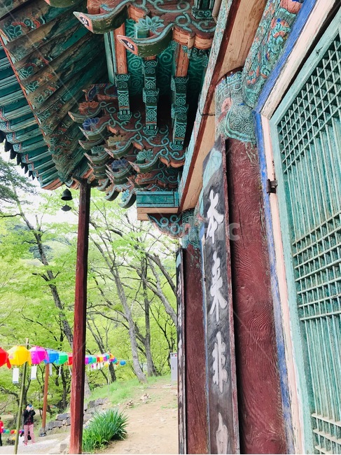temple,koreantemple,절,사원,연등