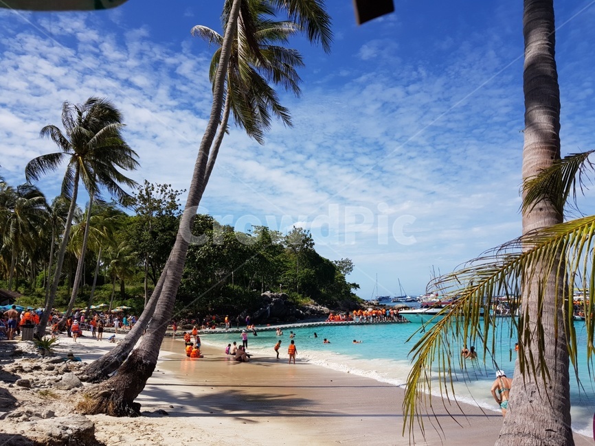 해변,바다,야자수,여름,나무,뜨거운,섬,sea,beach,tree,summer