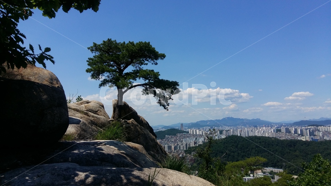 구름,소나무,관악산,삼성산,하늘