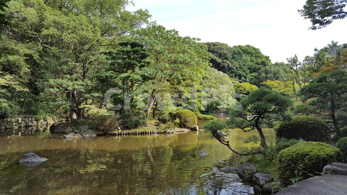 나무,산,자연,풍경,호수,자연,풍경,nature,landscape,water,물,outdoors,옥외,land,땅,vegetation,초목,plant,식물