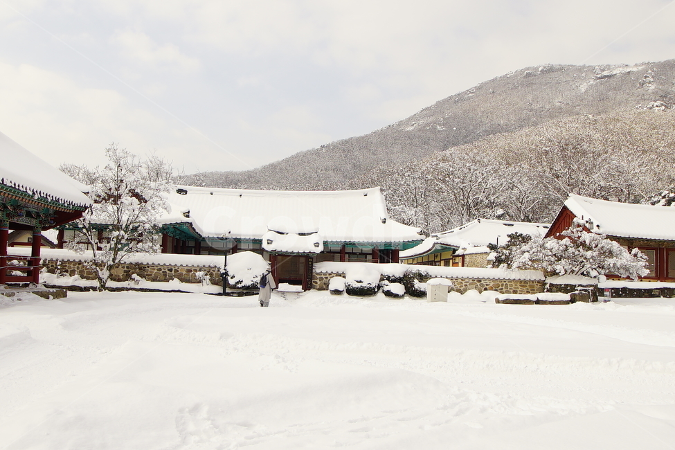 선운사,고창,설경,사찰,풍경,겨울,계절,winter,season,한국전통,한국문화,korean traditional,korean culture,사람,인물,인간,human,person,종교,신앙,religion,belief,faith,건축물,건물외관,exterior,building,structure,architecture,construction