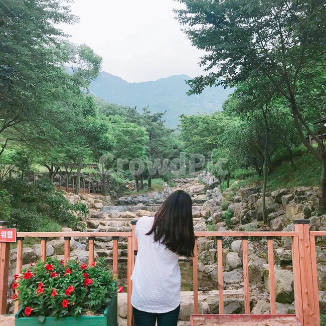 human,인간,person,사람,garden,정원,뒷모습