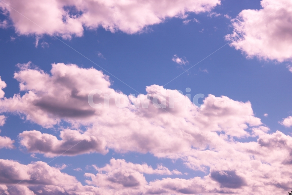 	구름,예쁜구름,뭉게구름,하얀구름,하늘,하늘구름,흰구름,맑은하늘,푸른하늘,화창한,맑은날씨,오후,자연,하얀색,풍경,깨끗한,시원한,sky,clouds,cloud,blue,핑크,핑크색하늘,핑크빛,핑크색,핑크빛하늘,pink,자연,풍경,nature,landscape,outdoors,옥외,azure sky,푸른 하늘