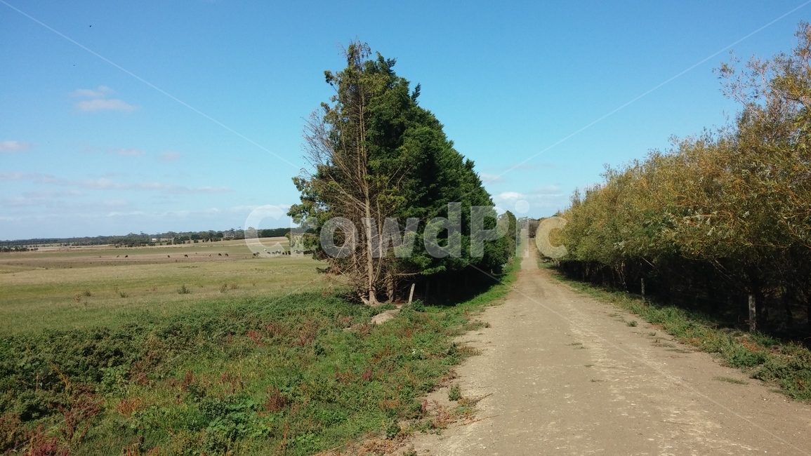 시골,오솔길,농장,도로,평야,자연,풍경,nature,landscape,road