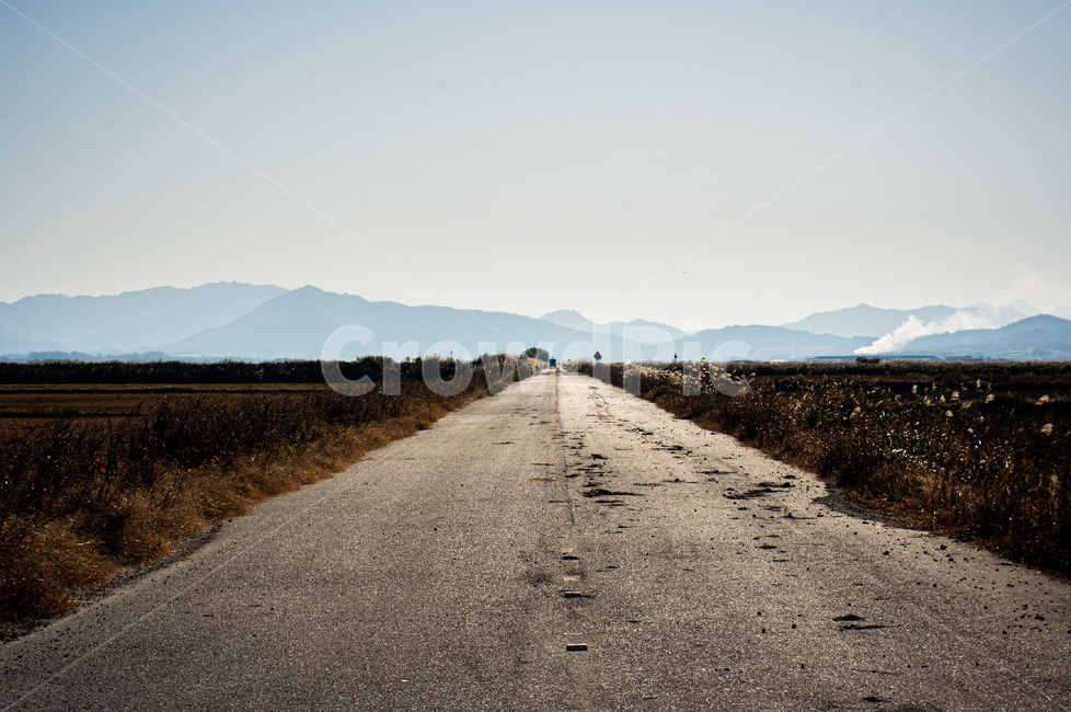 road,도로,길,하늘,자연,자연,풍경,nature,landscape