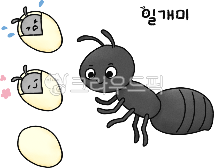 개미,일개미,개미일러스트,개미png,개미그림,곤충,곤충일러스트,곤충그림,개미알,개미애벌레