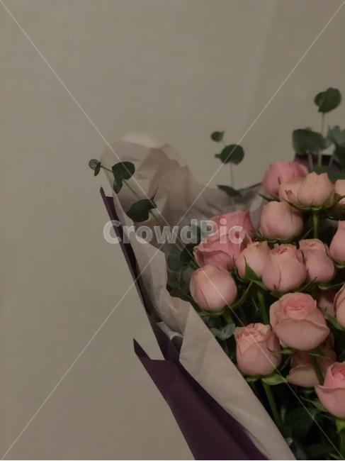 꽃,꽃다발,벽,flower,식물