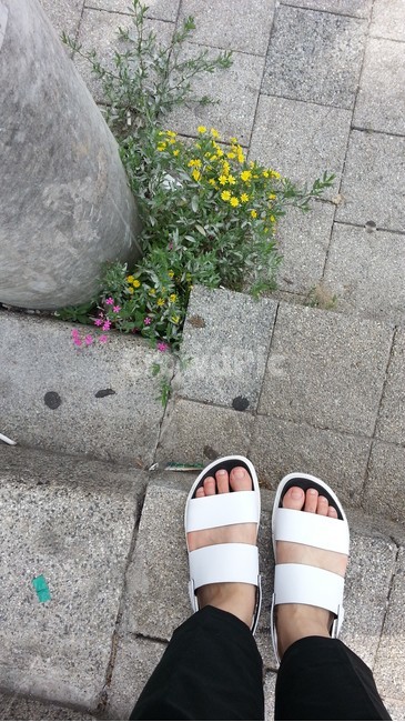 잡초,길가,꽃,길,산책,발,weed,foot,walk,road,way,flower,roadside