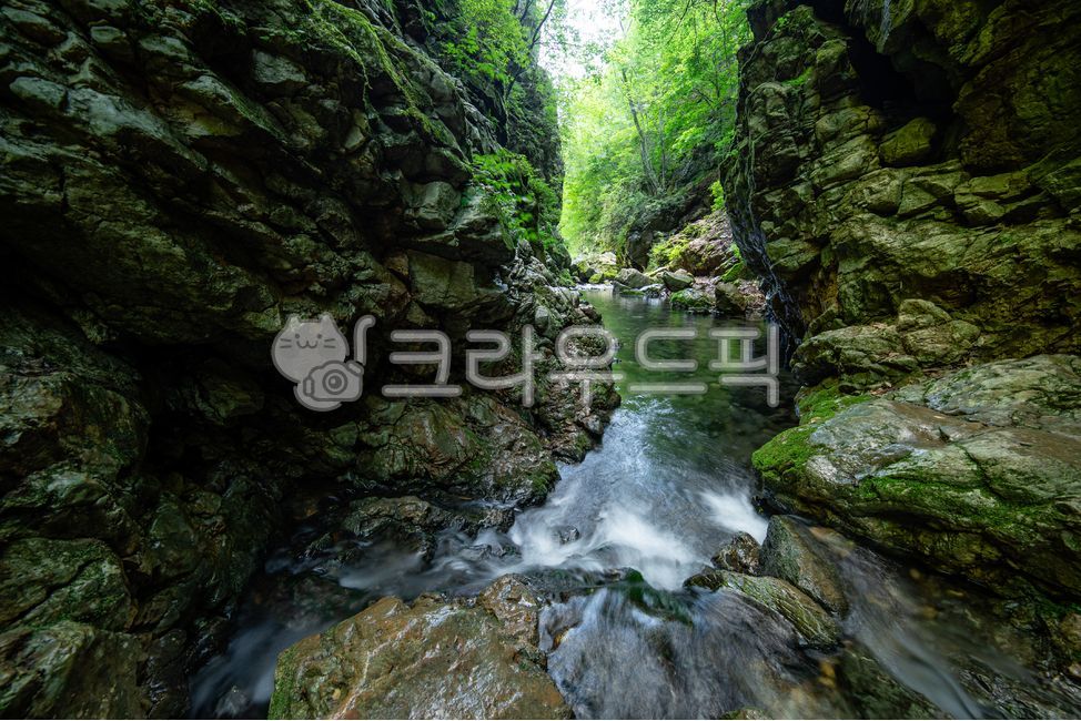 Mugeunri,moss,moss valley,moss waterfall,valley,waterfall,green,valley,ravine,forest,rock,mountain,green,water,nature,scenery,plant
