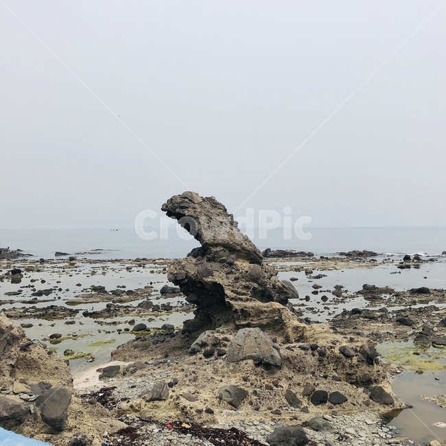 독수리,바위,독수리바워,돌,바닷가