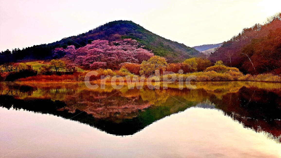 자연,미러,물,산,비침,자연경관,알록달록,푸름,단풍,무릉도원,가을,계절,fall,autumn,season,자연,풍경,nature,landscape,outdoors,옥외