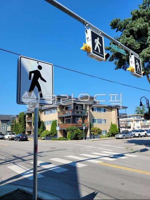 crosswalk,road,crossroad,road name,road sign,pedestrian,Traffic Light,roadsign,traffic