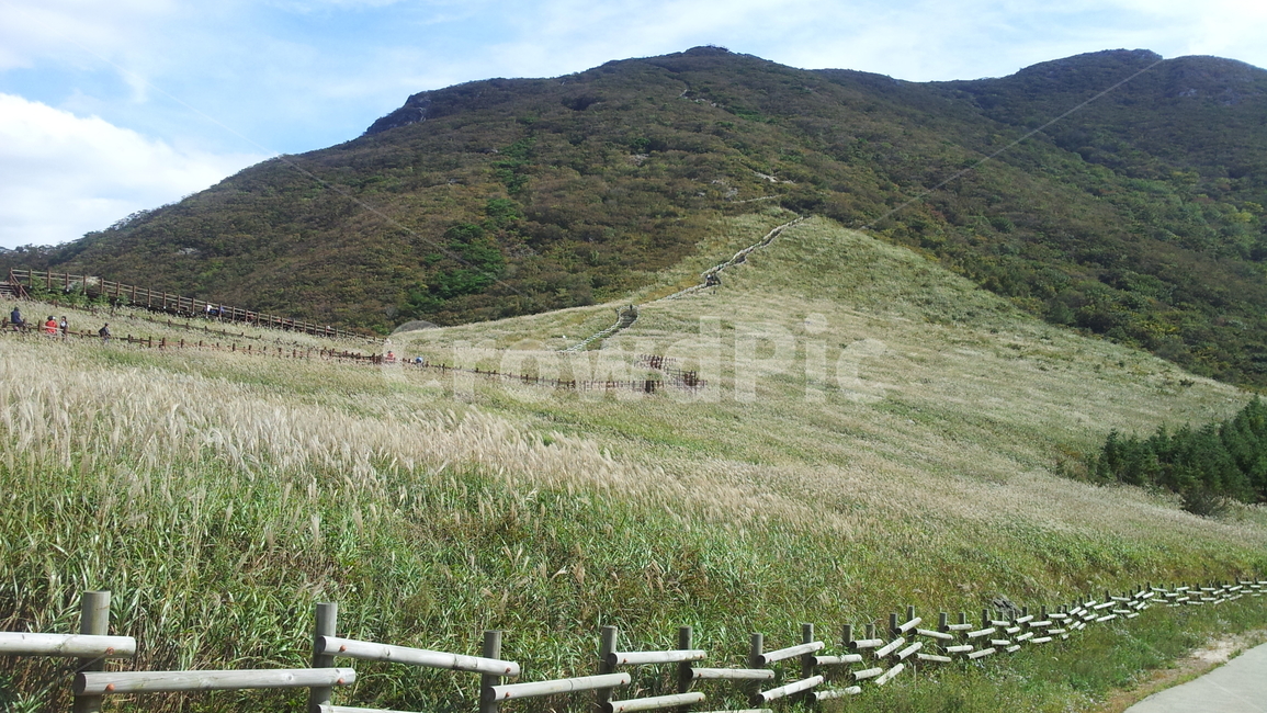 억새,신불산,가을산,flamegrass,mountain,자연,풍경,nature,landscape,한국자연풍경,한국자연경관,korea nature landscape,outdoors,옥외
