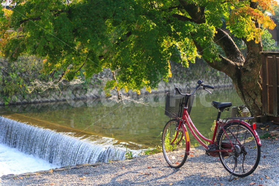 휴식,풍경,여행,일본,자전거,자연,풍경,nature,landscape,휴식,힐링,rest,relaxation,healing,사물,물건,오브젝트,thing,object,matter,bike,transportation,교통,bicycle,vehicle,차량,machine,기계,wheel,바퀴