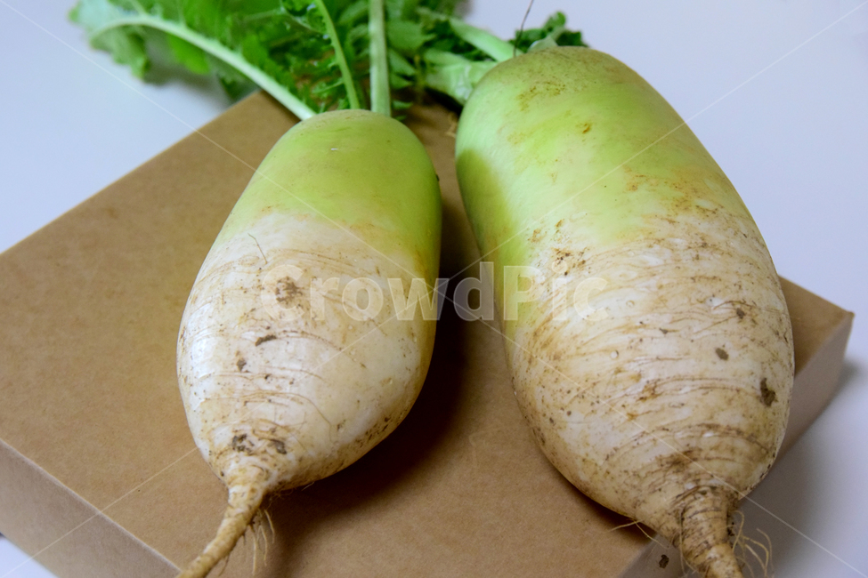 무,순무,무우,뿌리채소,채소,무잎,잎사귀,뿌리,radish,plant,food,vegetable,turnip,음식,식재료,요리,food,cook,meal,dishes,food reserves,채소,야채,vegetables