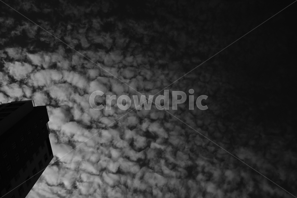 흑백,구름,콘트라스트,건물,감성사진,흑백,모노톤,monochrome,black and white,건축물,건물외관,exterior,building,structure,architecture,construction