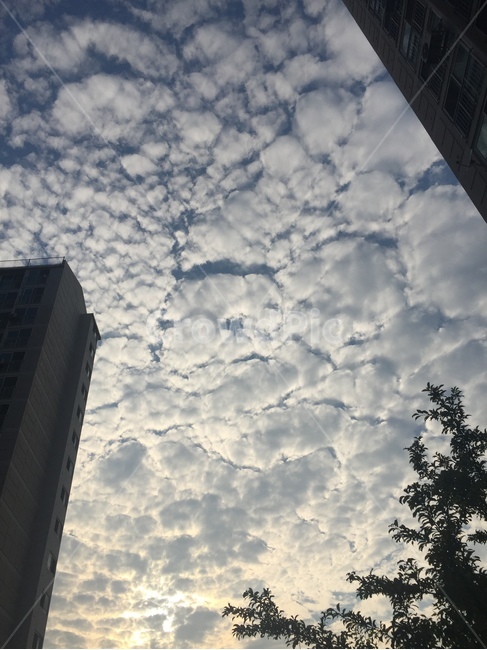 하늘,구름,건물,building,자연,자연,풍경,nature,landscape,office building,사무실 건물