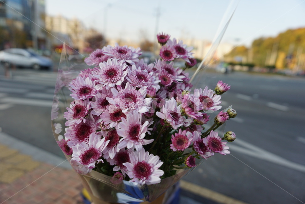 꽃,flower,꽃부케,식물,꽃꽂이,꽃,flower