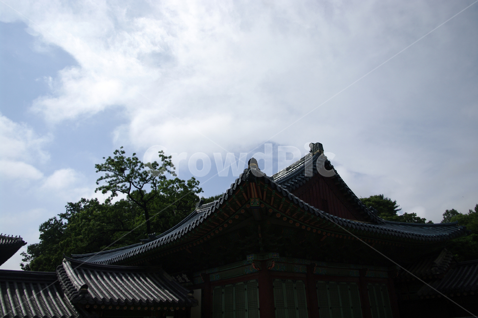 창덕궁,고궁,한옥,전통가옥,기와지붕,건축,traditional,한국전통,한국문화,korean traditional,korean culture,건축물,건물외관,exterior,building,structure,architecture,construction