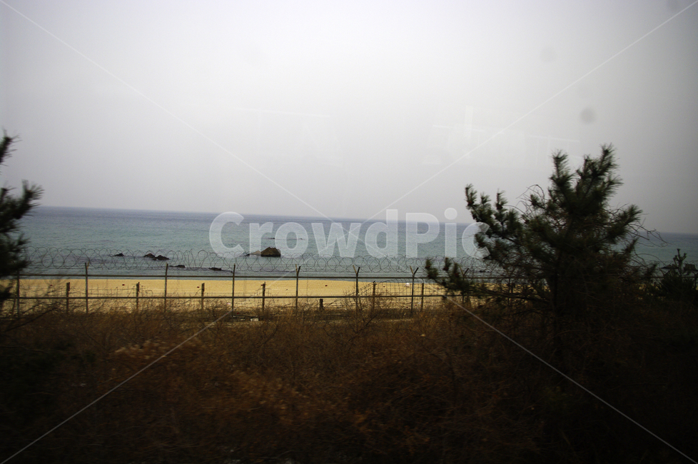 풍경,자연,나무,하늘,바다,nature,철조망