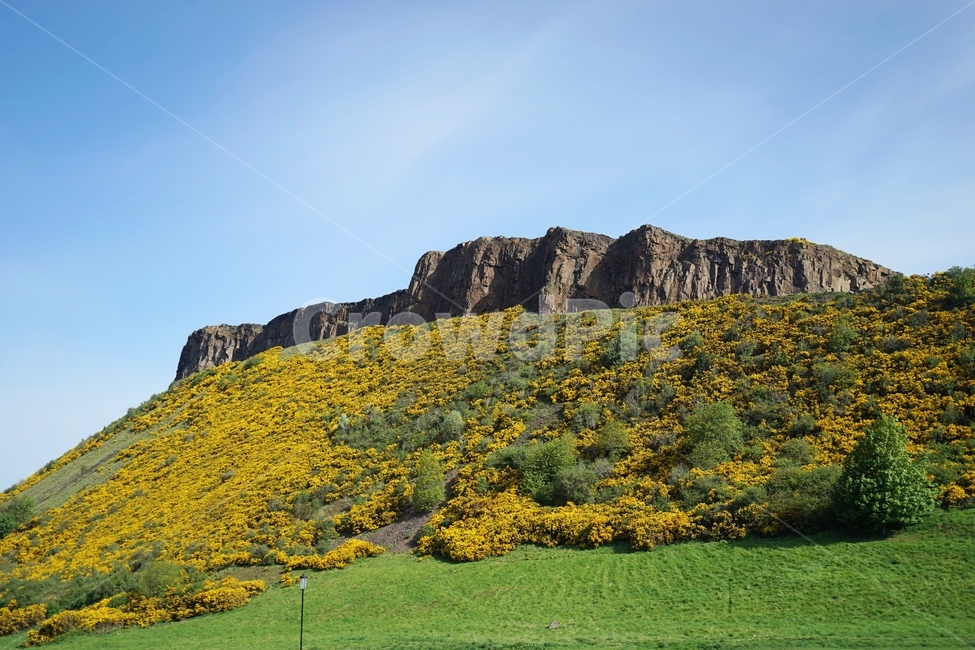 영국,에딘버러,풍경,봄,arthursseat