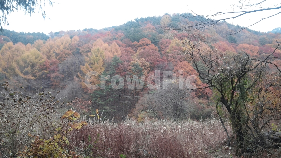 산,자연,경치,풍경,가을,단풍