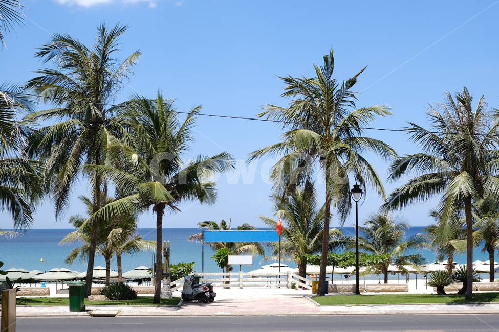 summer,beach,베트남,vietnam,danang,미케비치,mykhebeach
